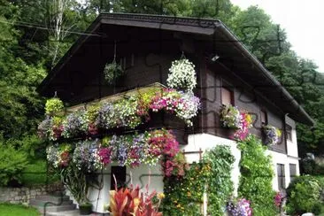 Austrian House jigsaw puzzle