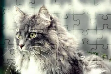 chat jigsaw puzzle
