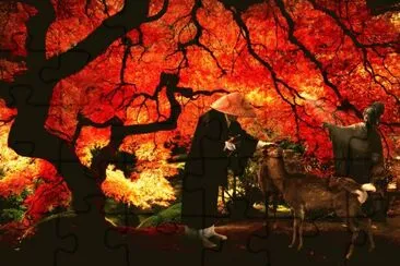 jardin japonais