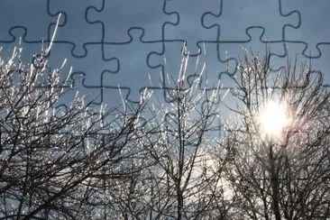 Morning beauty after freezing rain jigsaw puzzle