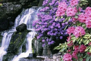 Waterfall jigsaw puzzle