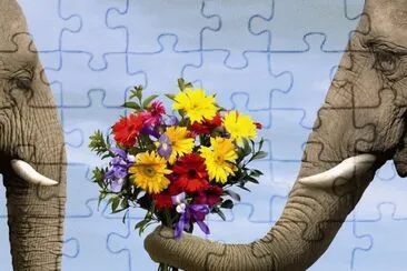 Elephant with Flowers