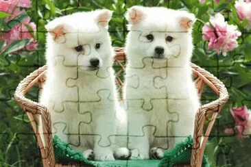gossets jigsaw puzzle