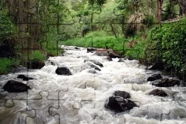 Cachoeira jigsaw puzzle