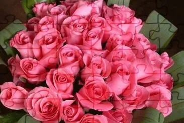 rosas jigsaw puzzle