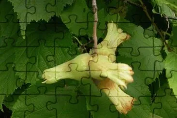  jigsaw puzzle