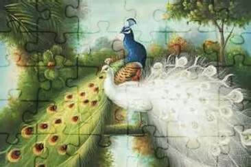 å­”é›€ jigsaw puzzle