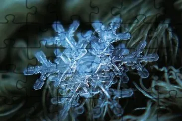 flocon
