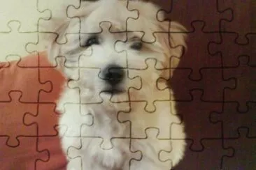 isamopamed jigsaw puzzle
