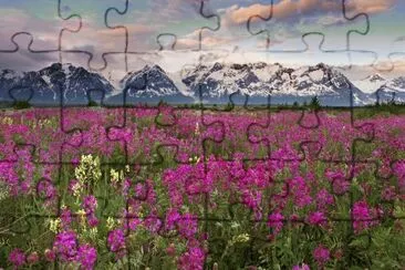Rocky Mountains  Canada jigsaw puzzle