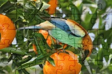 imagem jigsaw puzzle