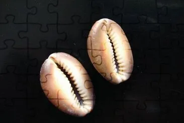 BÃºzios Fechados