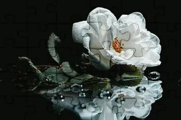 g jigsaw puzzle