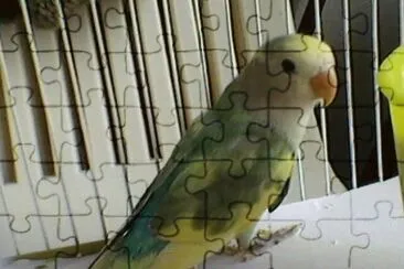 ASDFGHJKLÃ‘ jigsaw puzzle