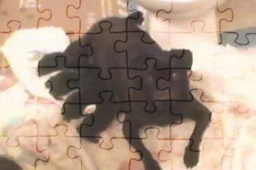 ASDFGHJKL jigsaw puzzle