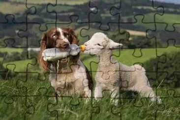spring jigsaw puzzle