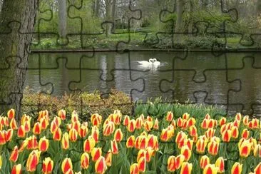 spring
