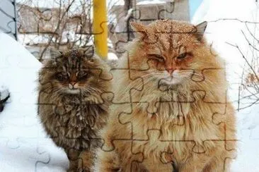 winter jigsaw puzzle