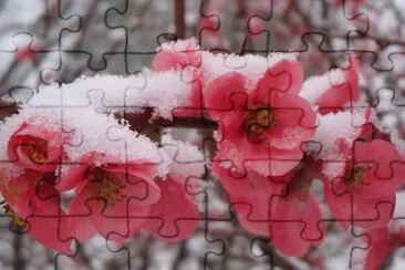 winter jigsaw puzzle