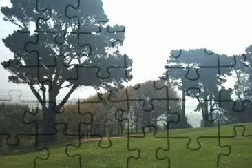 MARSU jigsaw puzzle