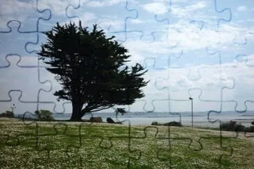 MARSU jigsaw puzzle