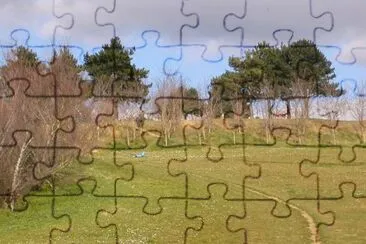 MARSU jigsaw puzzle