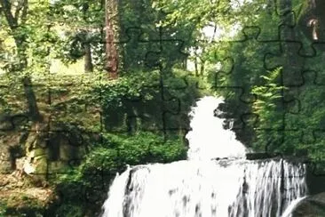 MARSU