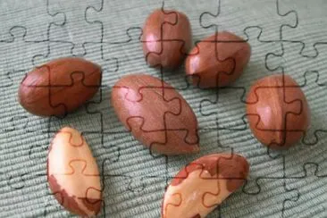 noix de pÃ©can