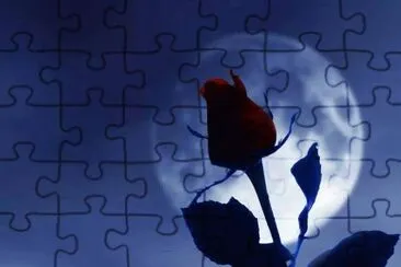Noite jigsaw puzzle
