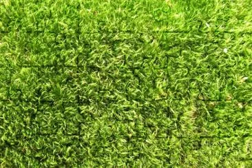 MARSU jigsaw puzzle