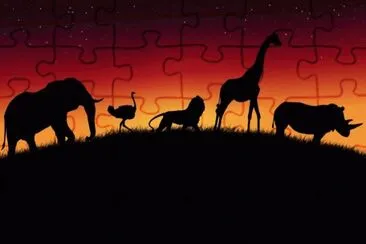 Nightwalk in Africa