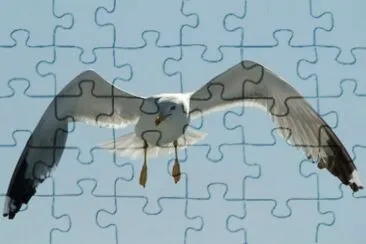 MARSU jigsaw puzzle
