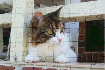 MARSU jigsaw puzzle