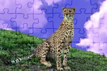 MARSU jigsaw puzzle