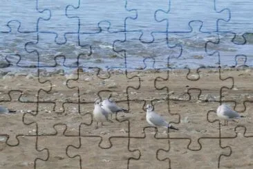 MARSU jigsaw puzzle