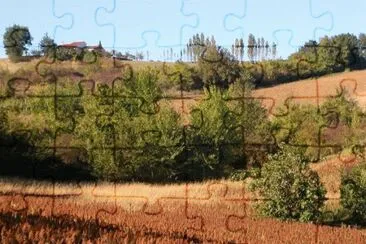MARSU jigsaw puzzle