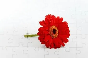 MARSU jigsaw puzzle