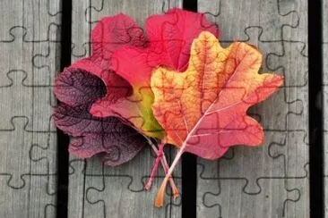 MARSU jigsaw puzzle