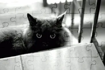 MARSU jigsaw puzzle