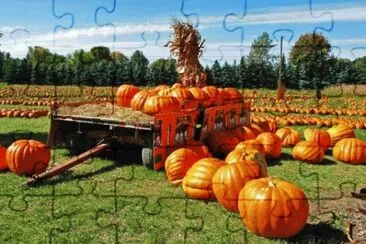 MARSU jigsaw puzzle