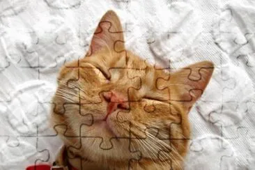 MARSU jigsaw puzzle