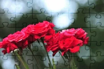 MARSU jigsaw puzzle