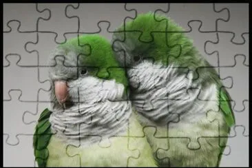azuu jigsaw puzzle