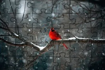 natureza jigsaw puzzle