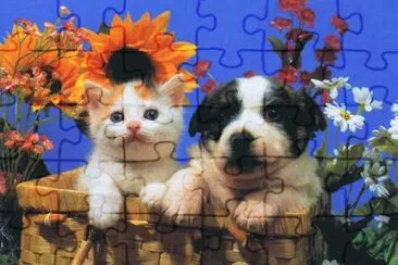 Amics jigsaw puzzle