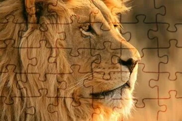 Leon jigsaw puzzle