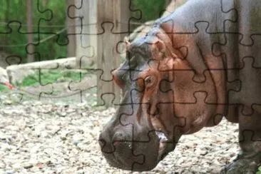 MARSU jigsaw puzzle