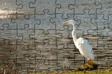MARSU jigsaw puzzle