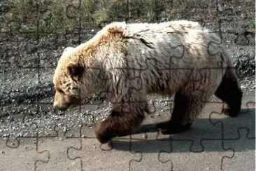 MARSU jigsaw puzzle