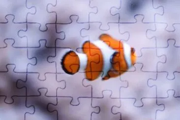 MARSU jigsaw puzzle